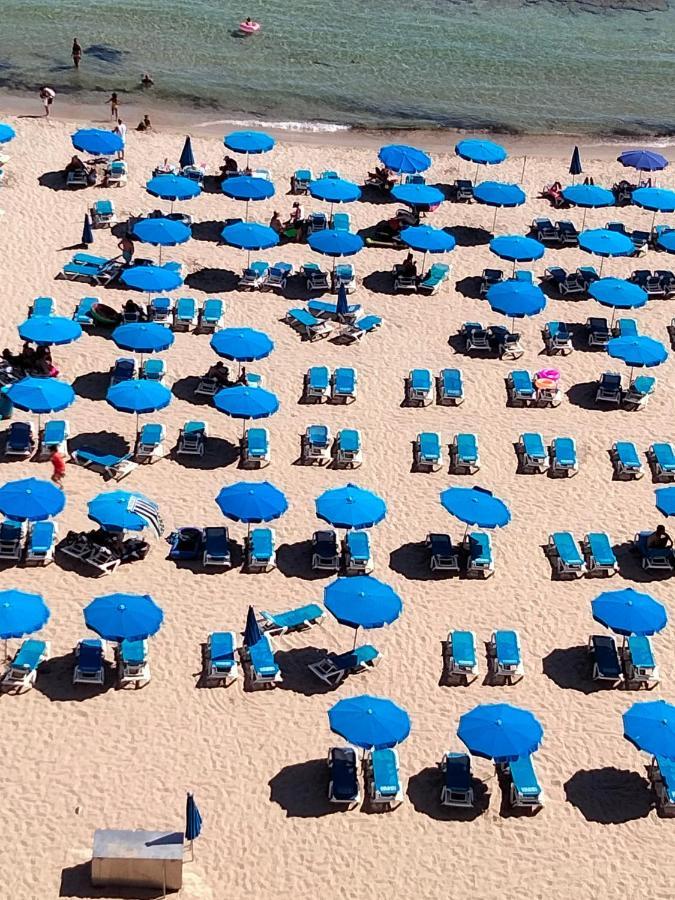 Dreamveracruz Playa בנידורם מראה חיצוני תמונה